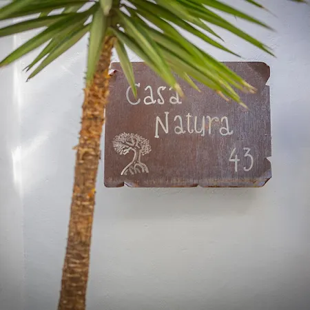 Casa Natura 43